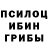 Галлюциногенные грибы MAGIC MUSHROOMS Evgen. Pecherin