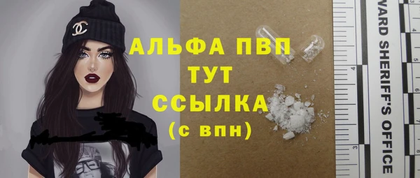 крисы Белокуриха