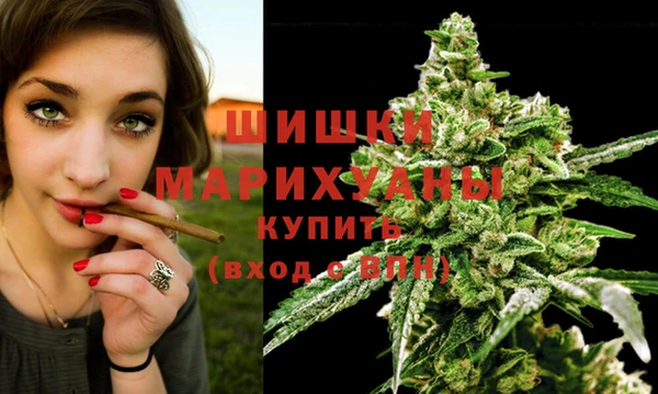 крисы Белокуриха