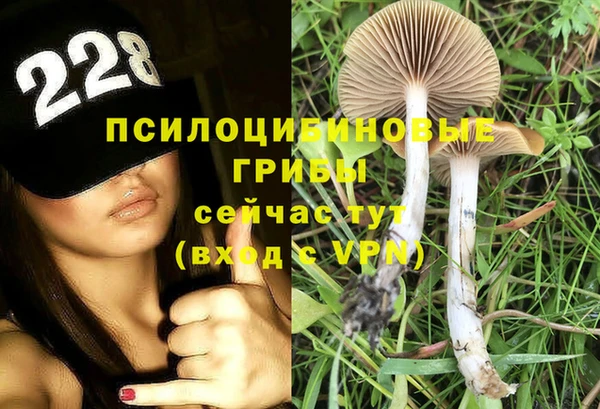 СК Фёдоровский
